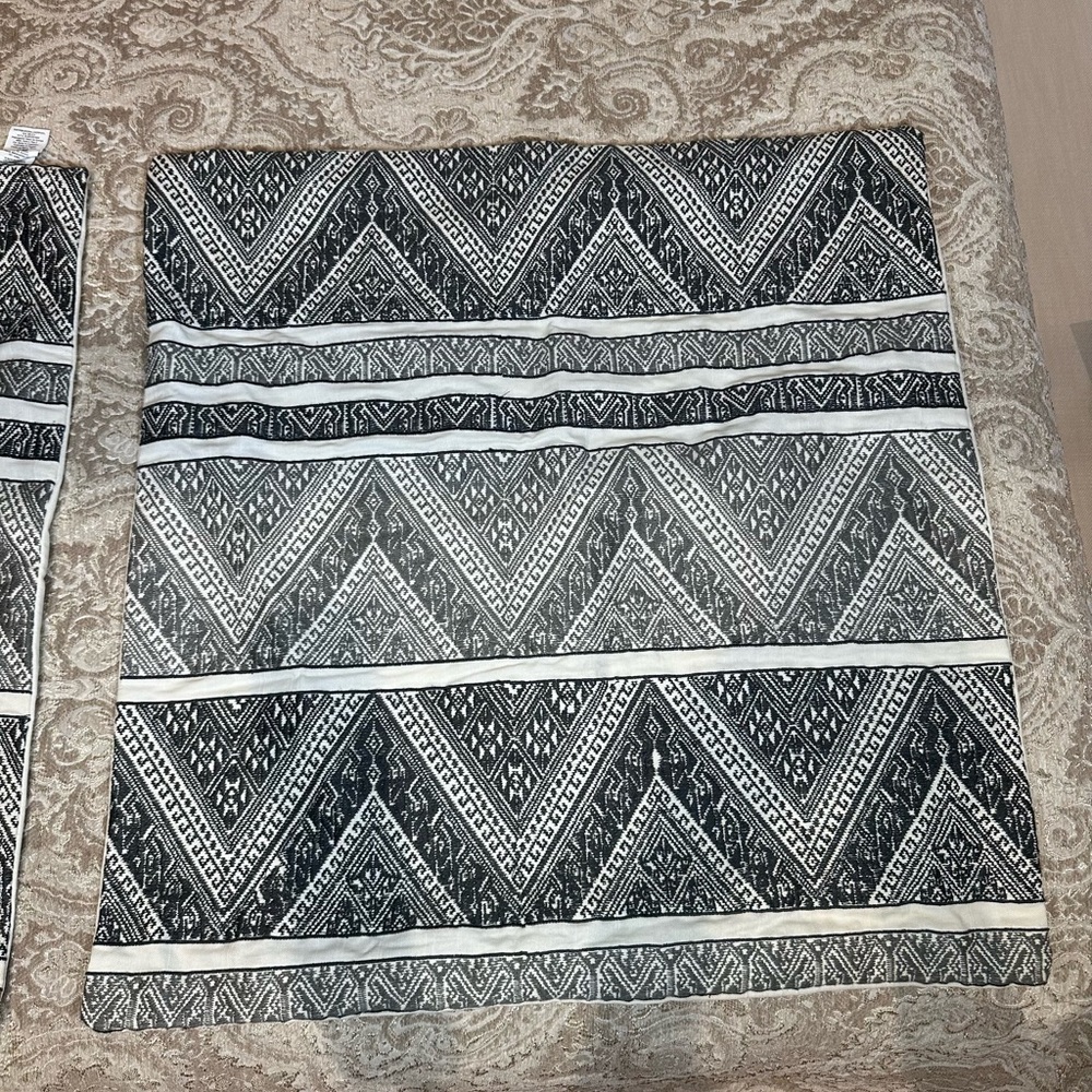 Pottery Barn Black and Cream Patterned Pillow Covers